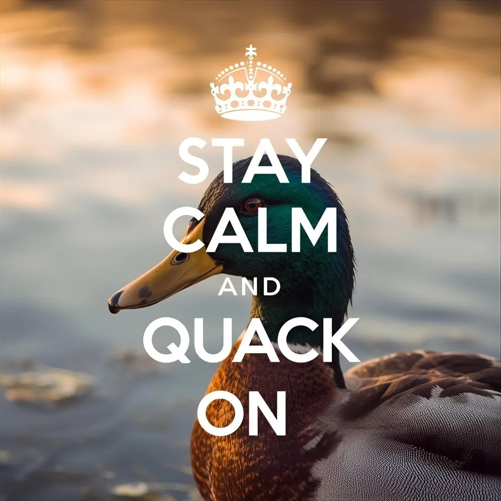  Instagram Duck Captions That Are Totally Quack-tastic 📸