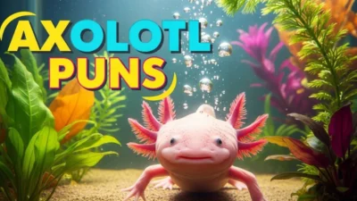 axolotl puns