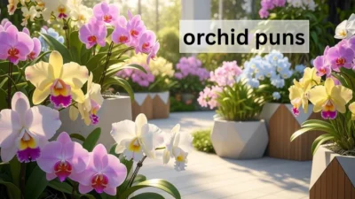 orchid puns